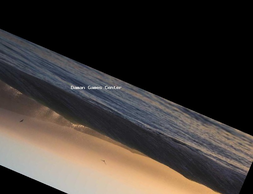 Sikh Chess Prodigy Game Interface